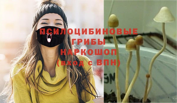 мдма Приозерск