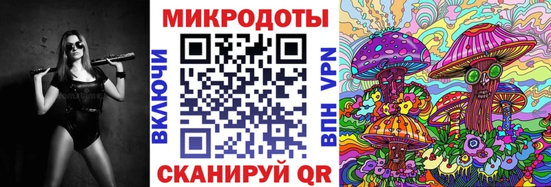 Купить Змеиногорск Галлюциногенные грибы Cubensis